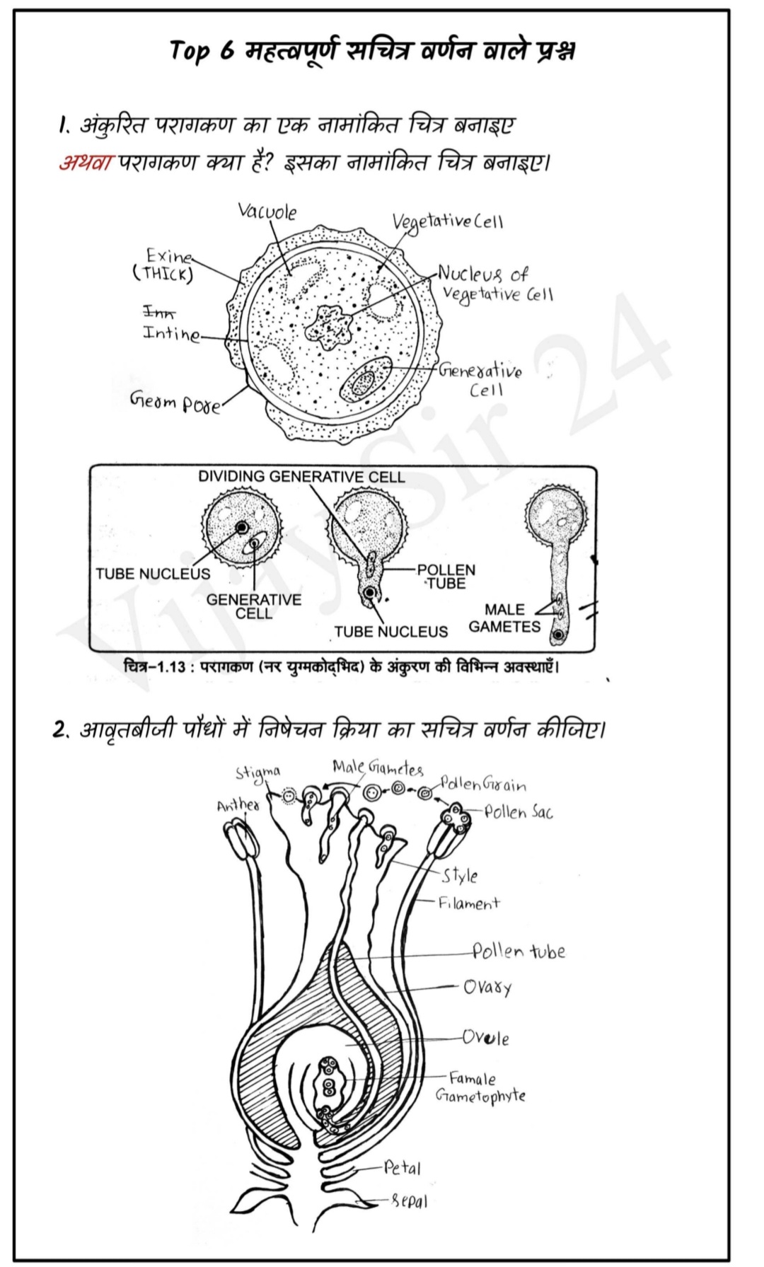 bio diagram